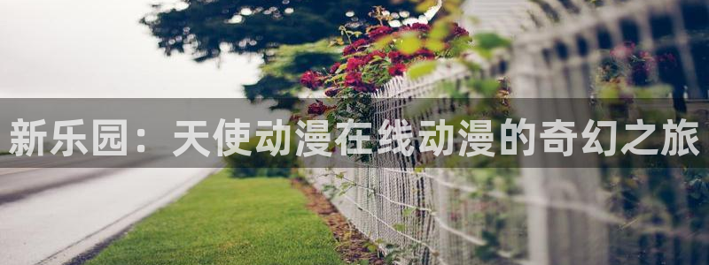 羞羞动漫污：新乐园：天使动漫在线动漫的奇幻之旅