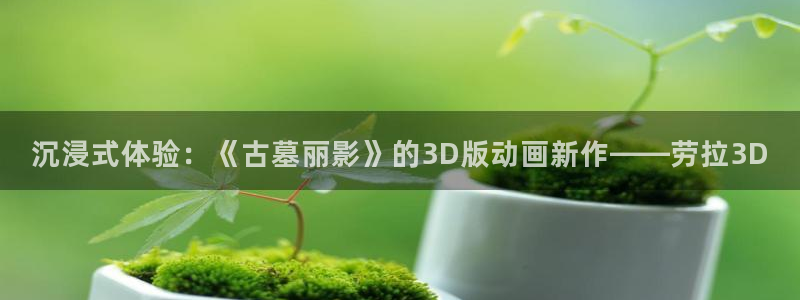 羞羞动漫歪歪动漫：沉浸式体验：《古墓丽影》的3D版动画新作——劳拉3D
